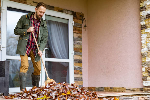 Best Junk Removal Near Me  in Parsons, WV